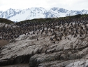 isla en el Canal de Beagle