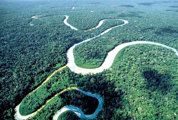 amazonas