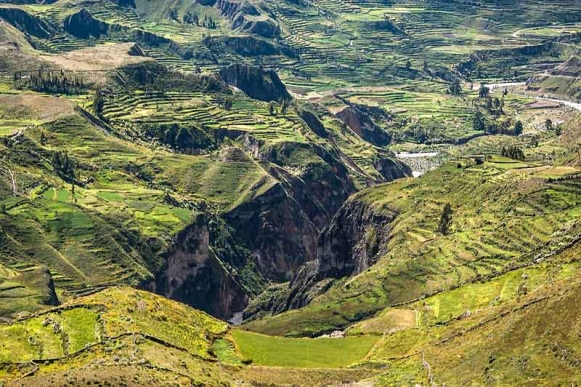 Can  del Colca