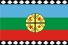 bandiera mapuche