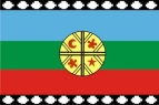 bandiera mapuche