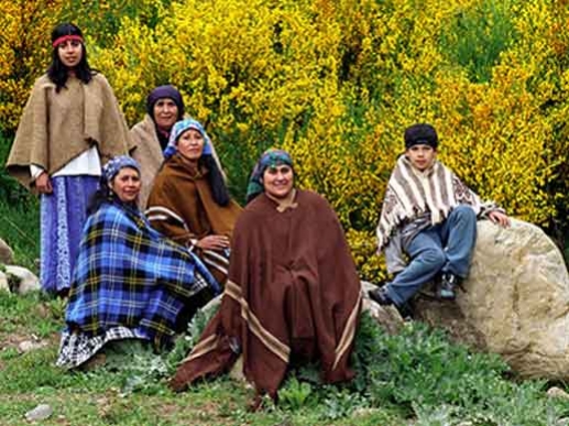 mapuches