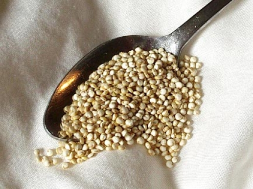 quinoa quinua