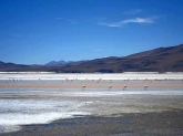 Laguna Colorada