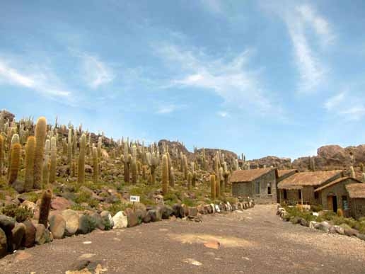 isola inca huasi nel salar de uyuni